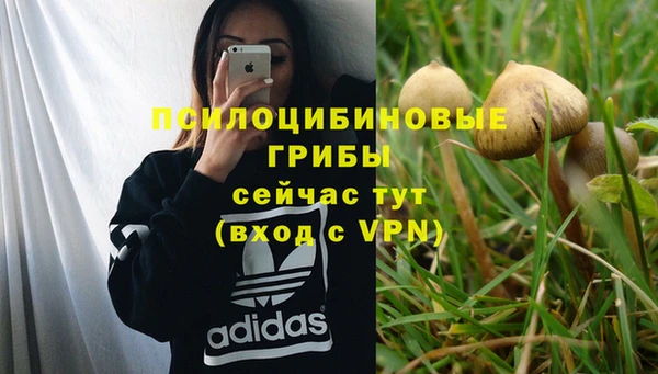 марки lsd Арсеньев